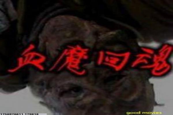 《无敌破坏王2》剧情讲解|网络世界故事与幕后揭秘