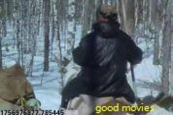 《美国电影Love Story》经典爱情设定解析