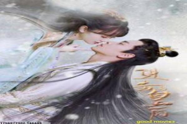 《伪装者》谍战设定与人物关系分集剧情讲解