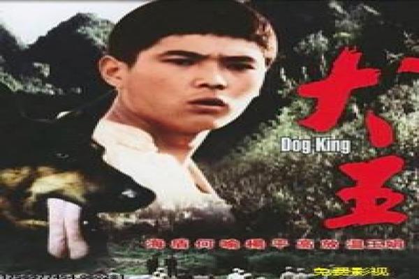 《走火》深度解析分析,火走的警匪正义与动作追击幕后故事