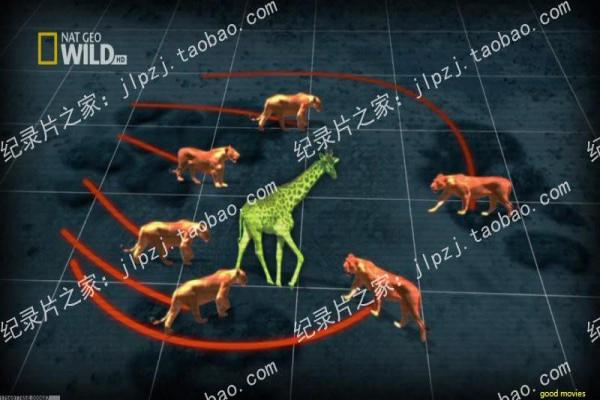 《我的二哥二嫂》剧情回顾|家庭伦理与人物命运交织
