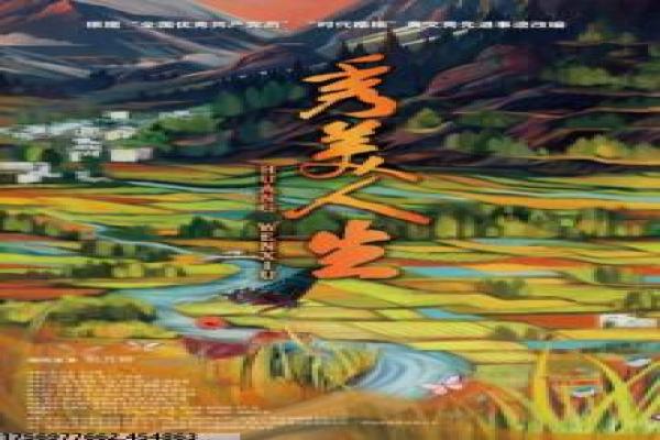 《王牌逗王牌》完整免费版剖析,逗趣王牌的冒险旅程与喜剧桥段幕后