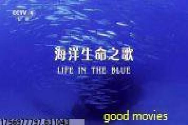 《亲爱的翻译官》分集剧情解析,翻译官的职场爱情与跨国情感幕后
