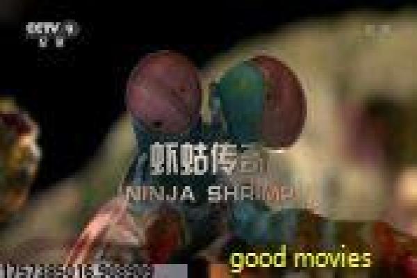 《瓦尔特保卫萨拉热窝》经典影片解析|抗战背景与音乐主题揭秘