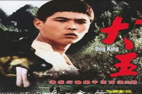 《遗愿清单》清单遗愿影片拍摄故事及人生梦想揭秘