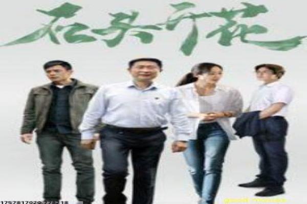 《舞伎家的料理人》影片解析,舞伎家的料理人美食的剖析