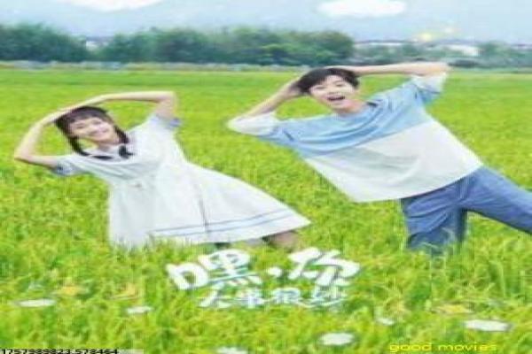 《亲爱的》剧情全集讲解,家庭亲情的感人故事与都市情感拍摄幕后
