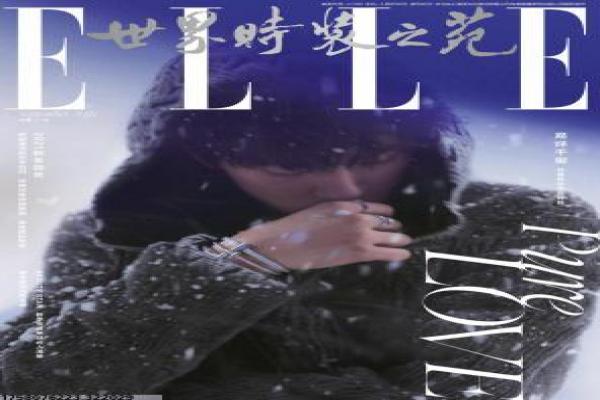《名媛望族》影视讲解,名媛望族家族的权谋解析