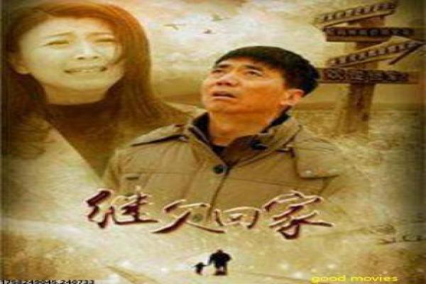 《布鲁克林黑街》影视讲解,布鲁克林黑街犯罪的解析
