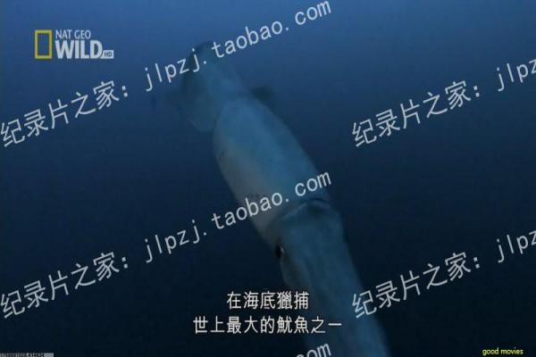 《林肯》影视解析详解,肯林的总统传奇与内战历史