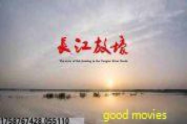 《我的前半生》离婚女性的逆袭人生,解析情感重启与自我成长的现实作品