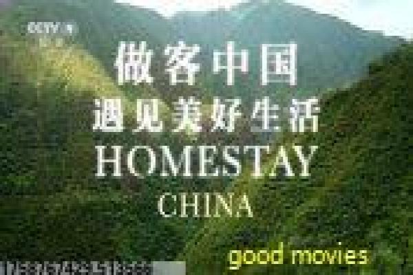 《斗破苍穹年番》斗气大陆的群英汇聚,斗破苍穹年番全景解析传奇再现