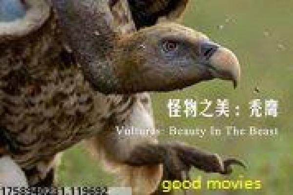 《两面神,欲望的两张脸》影片拍摄故事,两面神欲望的两张脸的幕后记录