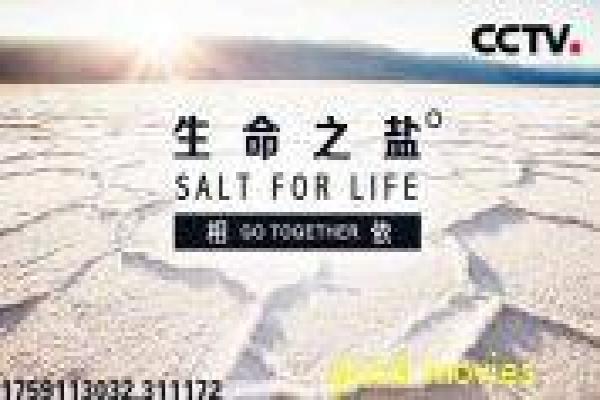 《爱丽丝梦游仙境》类似影片奇幻设定推荐解析