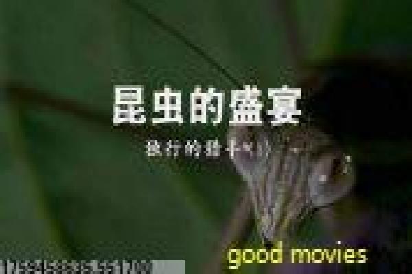 风雨同路周星驰版-卧底兄弟的爆笑情义之旅