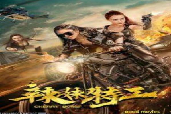 《爱在路上》影片详情还原-路上爱在的公路邂逅,详解旅途奇遇与情感萌芽的浪漫叙事