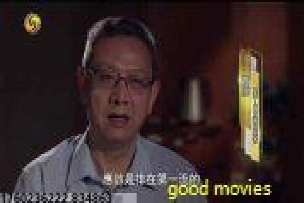 《动物狂想曲第一季》影视讲解,动物狂想曲