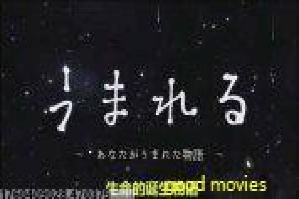 倒数第二次爱情-倒数第二次爱情时空循环,