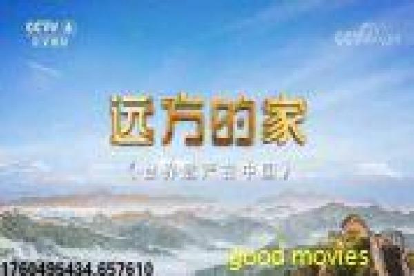《情动假日》影片简介深度,假日情动的浪漫