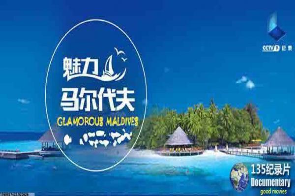 嫌疑人韩国电影-韩国嫌疑人律师辩护,电影